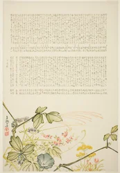 秋の草