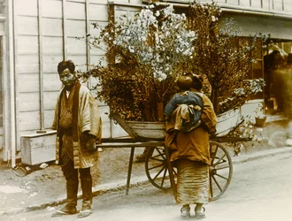 1900年～1915年頃、東京の路上で花を売る旅人（写真）