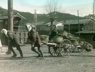 荷車に米袋を引く日本の農民たち（1900年頃-1915年）（写真