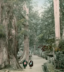 1900年～1915年頃、山本の高野山にある奥の院墓地（写真）