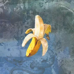 BANANAZ, 2015 (Collage on canvas)   1463687   ja       japanese Successfully Translated  Original: Wealth trumping romance (watercolour) Translat: Wealth trumping romance (watercolour) 1439745 ja japanese Successfully Translated Original: Speculum Romanae 