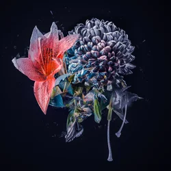 小さな花束、2018年（キャンバスにコラージュ）
