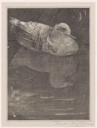 フローティングアヒル