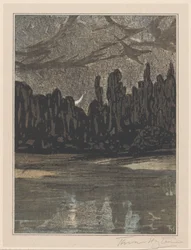 渡り鳥のいる夜景