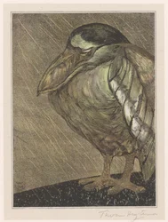 雨の中のサギ