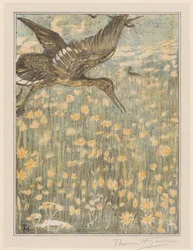 レッドシャンク