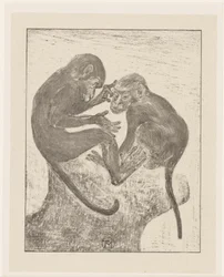 2 つのノミザル