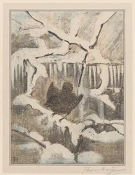 雪に覆われた枝にミソサザイ