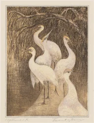 水辺の 6 羽の鶴