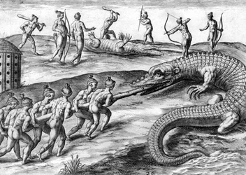 ワニを狩るティムクアン・インディアン