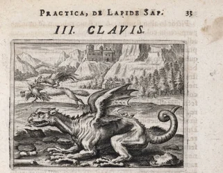 背景にあるドラゴン、オンドリに襲われた鶏を盗むオオカミ - Theodore de Bry (1528-1598) による彫刻、錬金術の論文「Tripus avreus、hoc est、Tres tractatus chymici selectissimi」、Michael Maier 作(1569-1622)