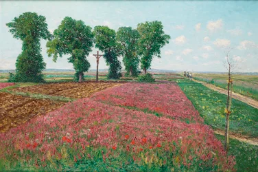 ズノイモ IV の大規模な sainfoin フィールド