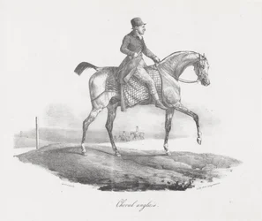 英国の馬（An English Horse）