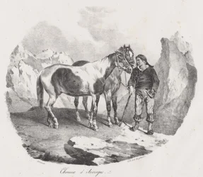 オーヴェルニュの馬（Auvergne Horses）