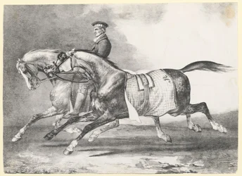 散歩させられている2頭のダップルグレーの馬（『Two Dapple-Grays Being Exercised』）