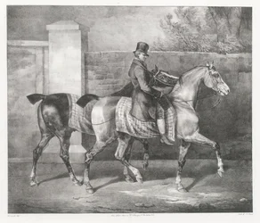 騎手が2頭の馬を散歩させている（『A Groom Exercising Two Horses』）