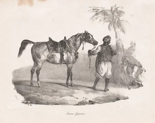 エジプト馬、1822年。