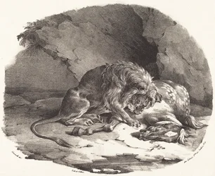 ライオンにむさぼり食われる馬 (Cheval devore par un lion)