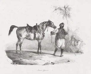 エジプトの牝馬（An Egyptian Mare）