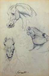 3頭の馬の頭（鉛筆）