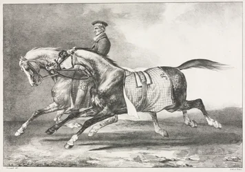 1822年に運動した2つのまだらの馬