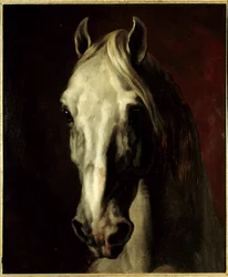 白馬の頭。テオドール・ジェリコー（1791-1824）の絵画