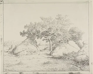 Plante à Biauの桜