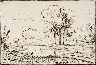 川の堤防のそばにある 3 本の背の高い木がある風景