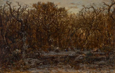 冬の夕暮れの森