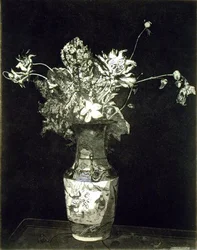 花の苦悩