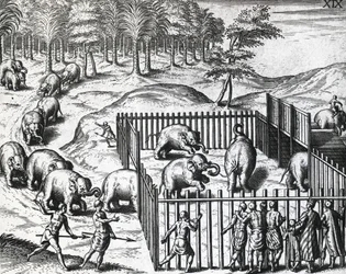 テオドール・デ・ブライ（1528-1598）によるペグ王国（現在のミャンマー）での象狩り、彫刻