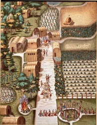 アメリカ史：「バージニア州セコタ市の庭園」セオドア・デ・ブライ（1528-1598）の「Admirante Narratio Americae」からの挿絵