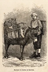 ジェウィリスク（北アナトリア）でロバを連れた石炭商人。1869年にラツィスタンとアルメニアの旅を描いた語り手の絵をもとに彫られたもので、テオフィル・デイロルが描いたもの。