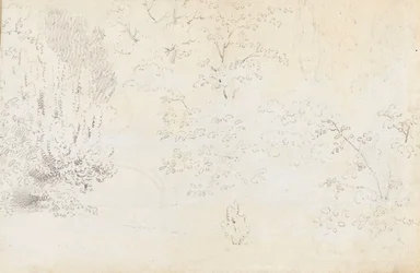 西側から橋と木々を描いた黒鉛画の習作（裏面）