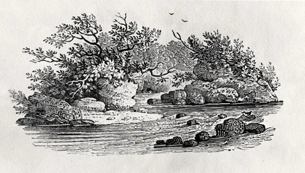 1804年に出版された「水鳥」より「川の曲がり角」（木版画