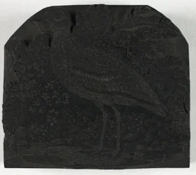 英国の鳥の歴史より、千鳥の木版画