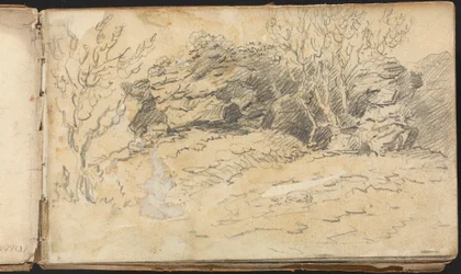 山水図帖 樹岩図帖