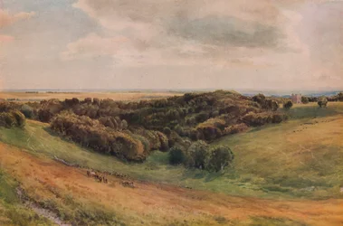 アランデルパーク、1874