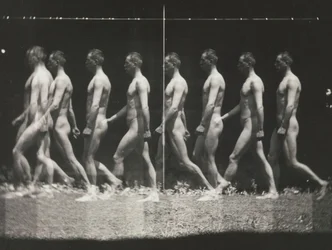 [Man Walking, Stroboscopic Photograph]、1880 年代、1930 年代から 40 年代に印刷、1880 年代に 1930 年代から 40 年代に印刷。
