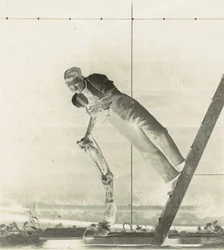 解剖された馬の脚を持つはしごの上の男、1880年代。