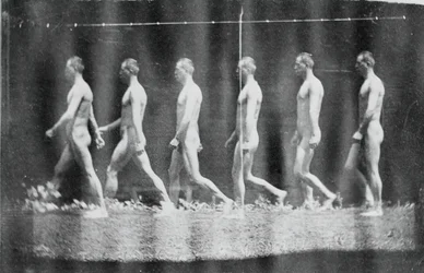 マレー ホイール ジェシー ゴドリーの写真、1884 年。