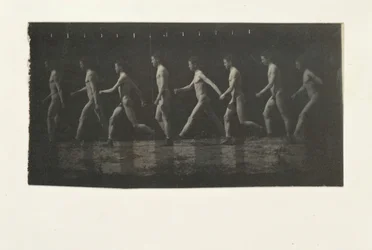 正体不明のモデルのマレー ホイールの写真、1884 年。