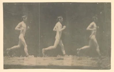 正体不明のモデルのマレー ホイールの写真、1884 年。
