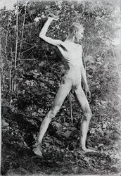 投石器、c。 1883年。