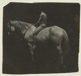サミュエル・マレー・アストライド・エイキンズのホース・ビリー、c。 1892年。
