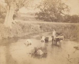 [1883年7月4日、クリークで遊ぶ3人の子供と1匹の犬】、1883年。