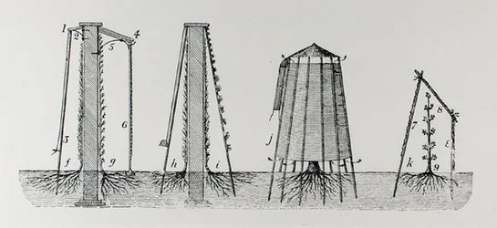 トーマス・モーソン著「The Art and Craft of Garden Making」（1900年刊）より、霜から花を守るための彫刻（モノクロ写真）。