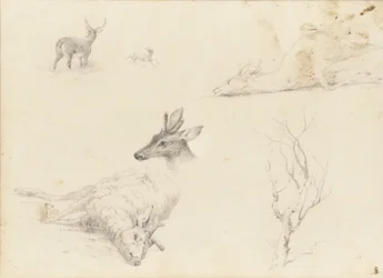 風景と動物の主題のスケッチブック、1860-64。