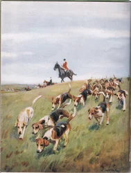 キツネ狩り、『Hounds』の挿絵
