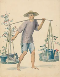 中国の花売り